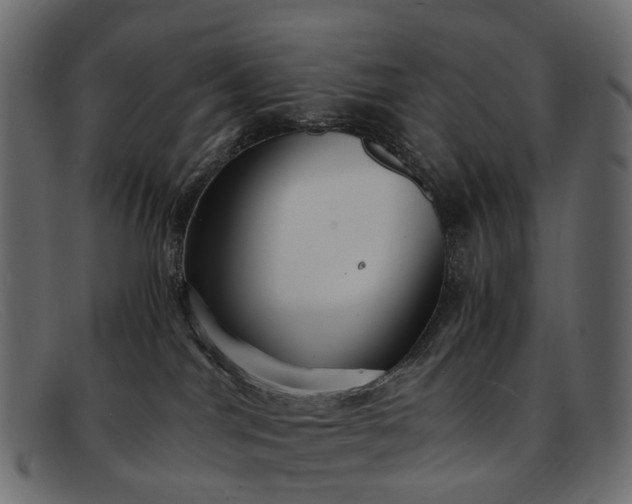 X0000091900044200709191246