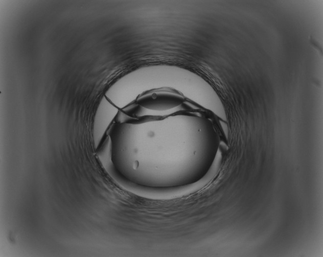 X0000091900045200709191246