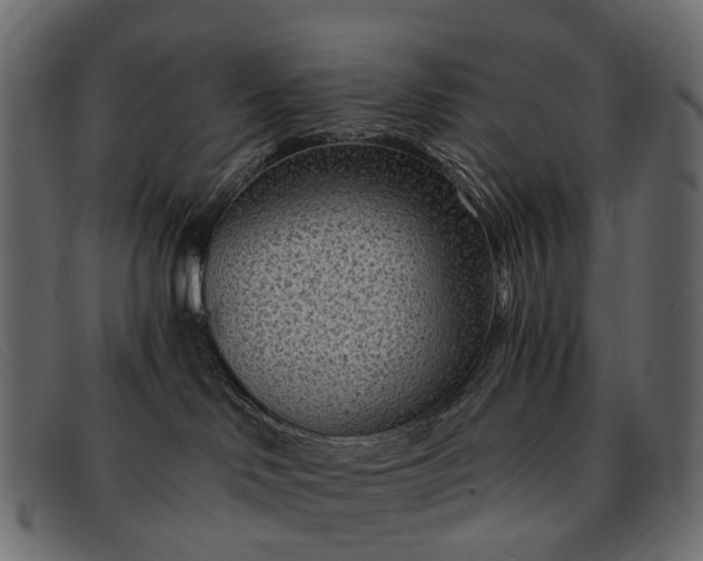 X0000091900046200709191246