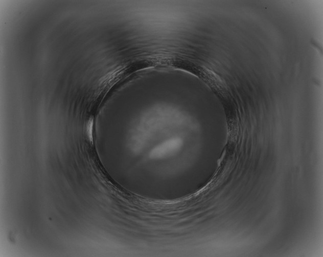 X0000091900047200709191246