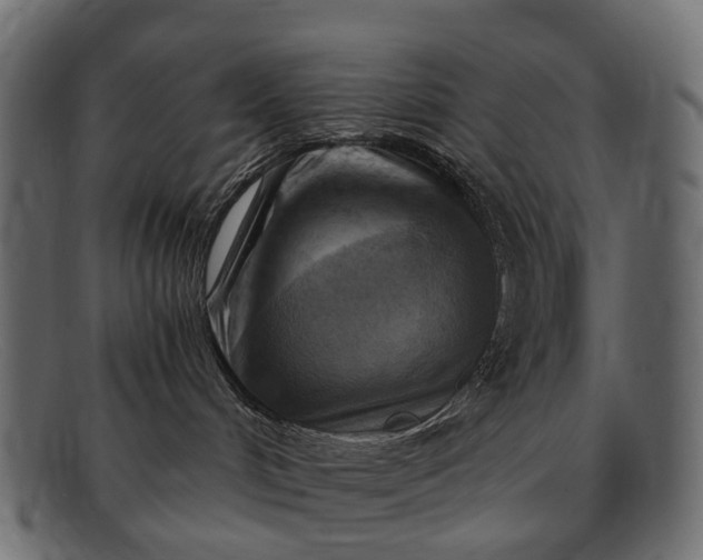 X0000091900048200709191246