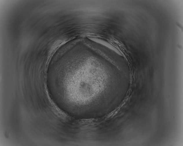 X0000091900049200709191245