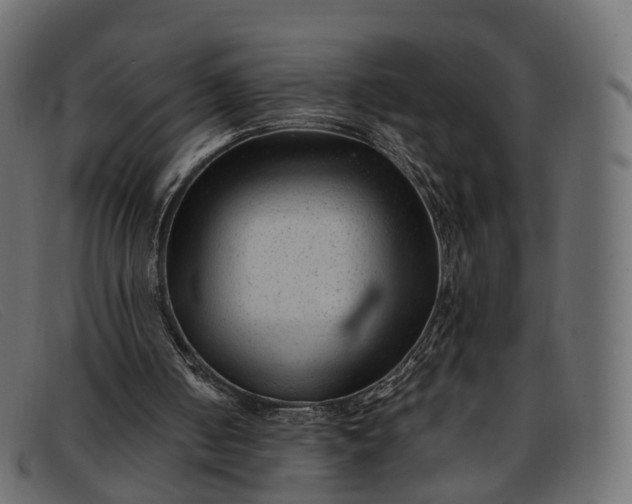 X0000091900050200709191245