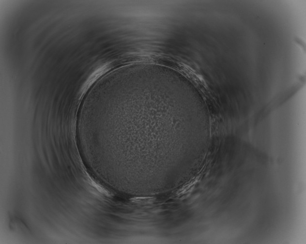 X0000091900051200709191245