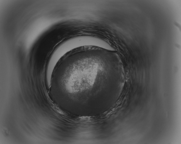 X0000091900052200709191245