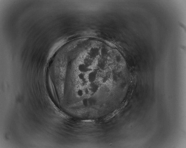 X0000091900053200709191245