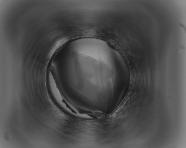 X0000091900054200709191245