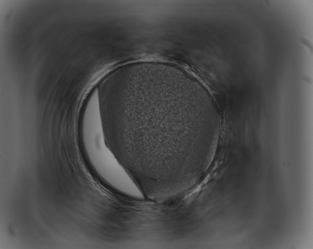 X0000091900055200709191245