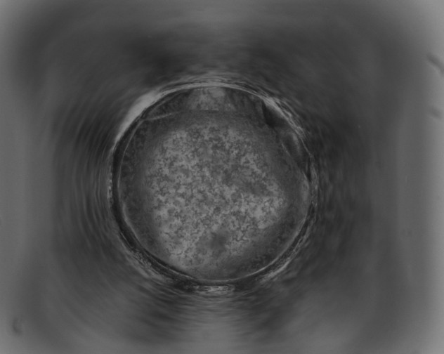 X0000091900056200709191245