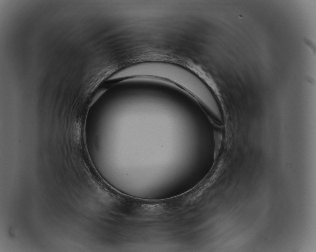 X0000091900057200709191245