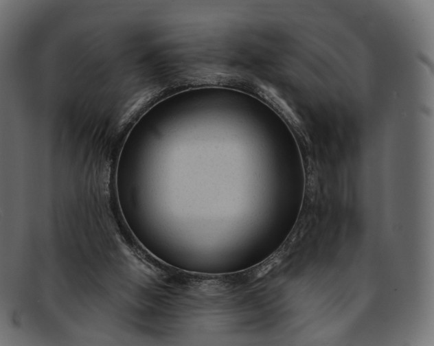 X0000091900058200709191245