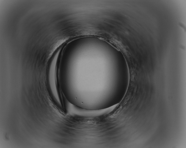 X0000091900060200709191245