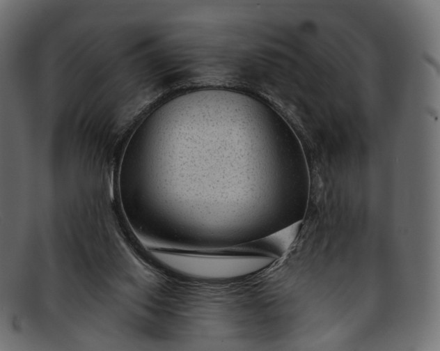 X0000091900062200709191245