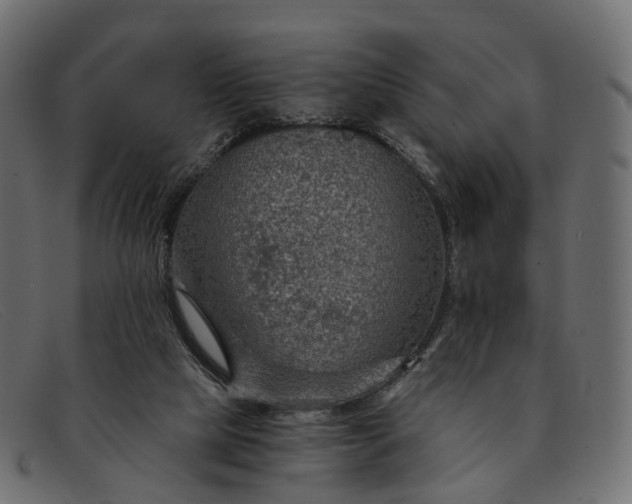 X0000091900065200709191245