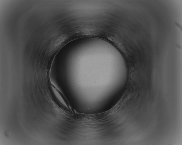 X0000091900066200709191245