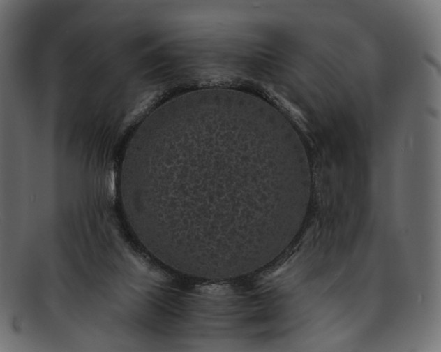 X0000091900067200709191245