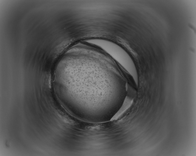 X0000091900068200709191245