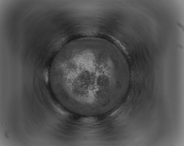 X0000091900069200709191245