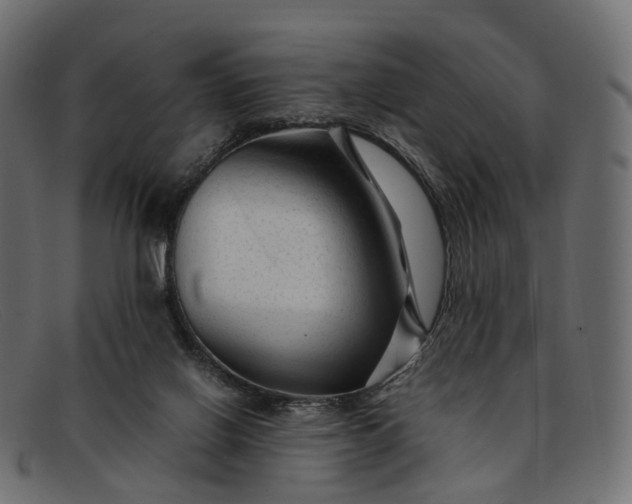 X0000091900070200709191245