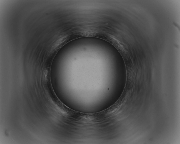 X0000091900071200709191245