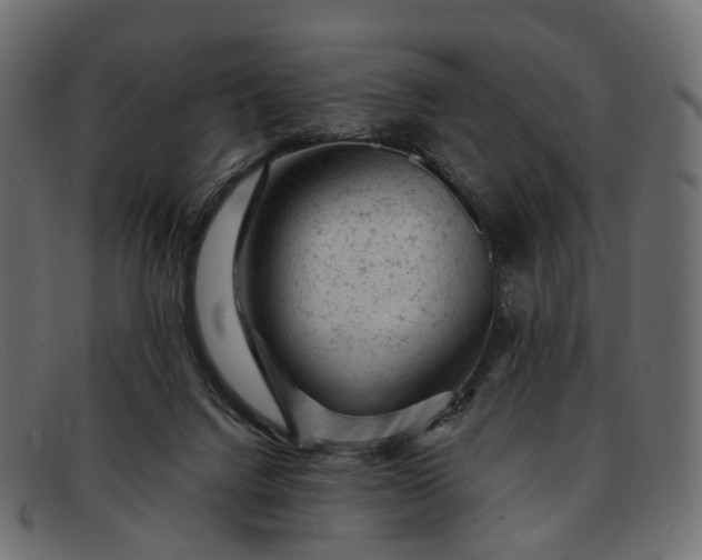 X0000091900072200709191245