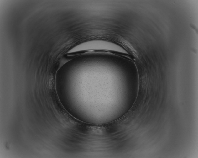 X0000091900073200709191245