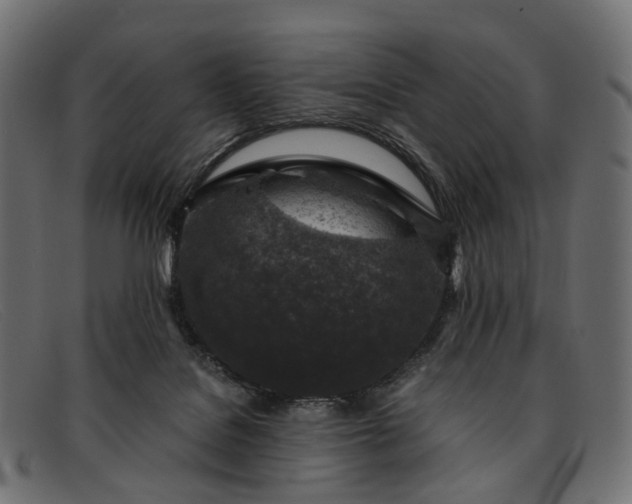 X0000091900076200709191245