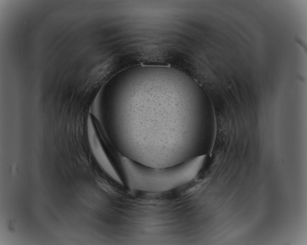 X0000091900080200709191246