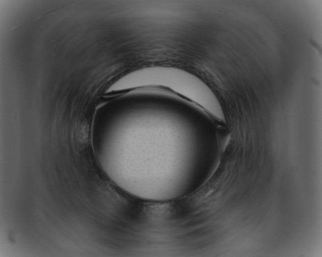 X0000091900081200709191246