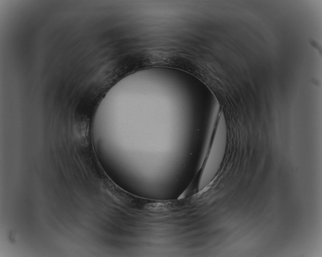 X0000091900082200709191246