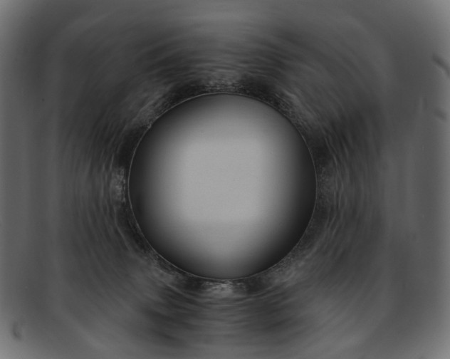 X0000091900083200709191246