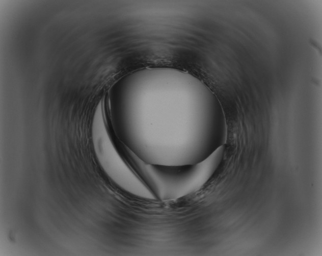 X0000091900084200709191246