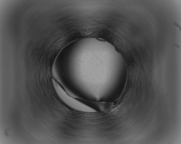 X0000091900085200709191246