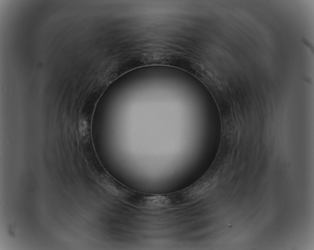 X0000091900087200709191246