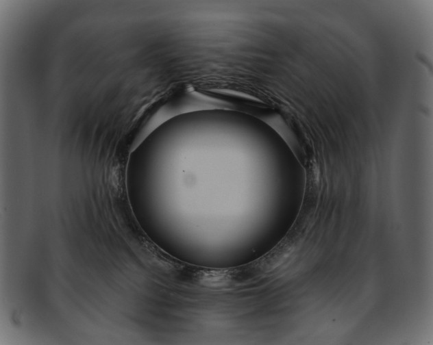 X0000091900088200709191246