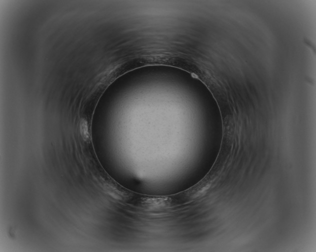 X0000091900089200709191246