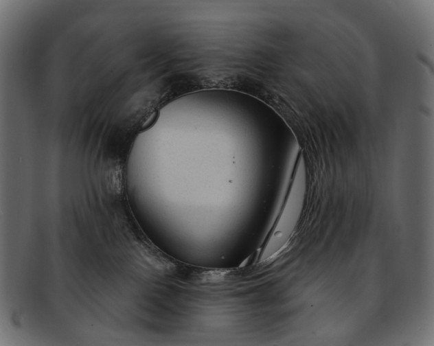 X0000091900090200709191246