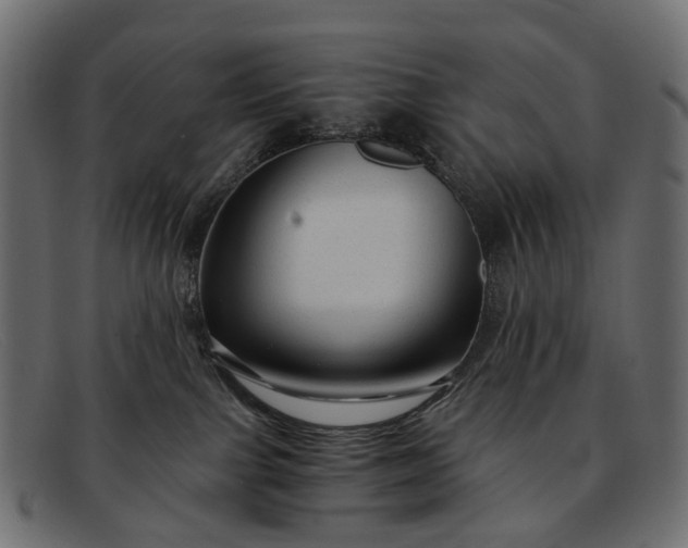 X0000091900091200709191246