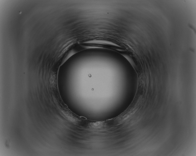 X0000091900092200709191246