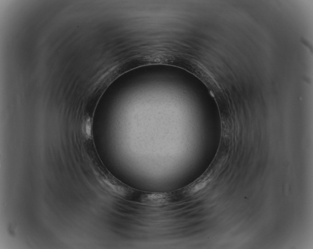 X0000091900095200709191246