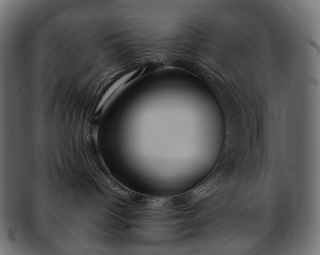 X0000091900096200709191246