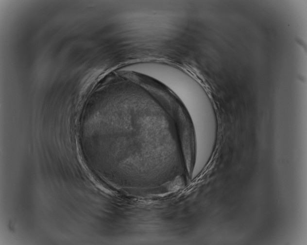 X0000091900097200709191245