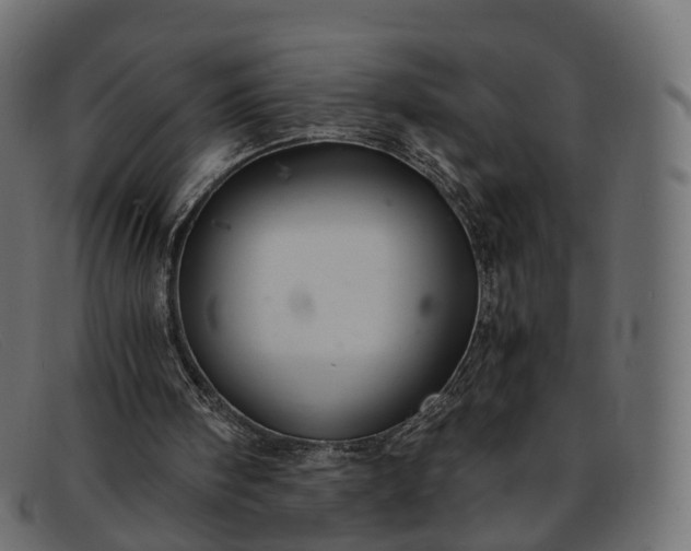 X0000091900098200709191245