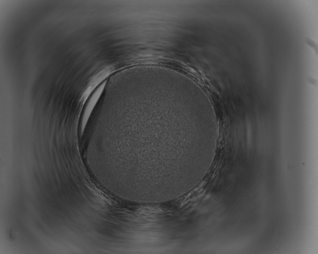 X0000091900099200709191245