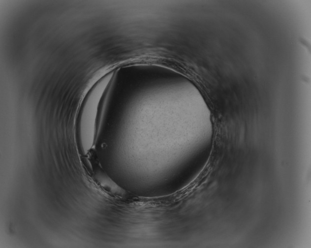 X0000091900100200709191245