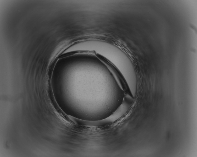 X0000091900101200709191245