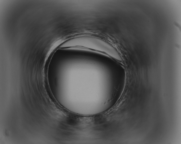 X0000091900102200709191245