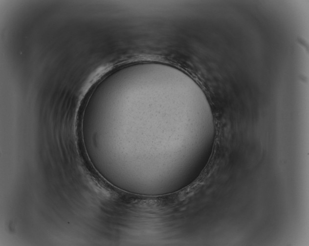 X0000091900104200709191245