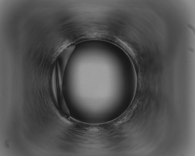 X0000091900105200709191245