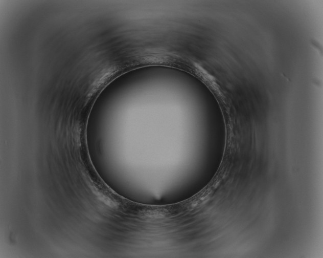 X0000091900106200709191245